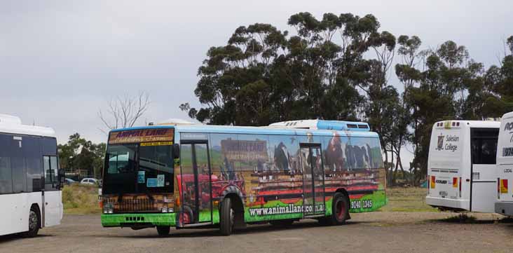 Rockleigh Tours Volvo B10M Austral Metroliner BS01DX